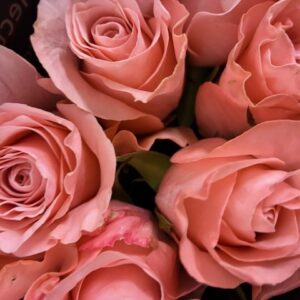 ROS BE SWEET ROSA 60CM KE