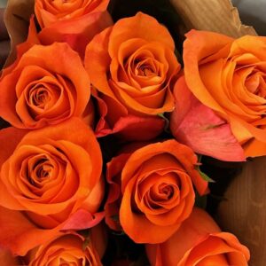 ROS ORANGE WAVE UHURU 60CM