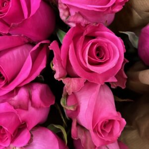 ROS COTTON CANDY UHURU 60CM