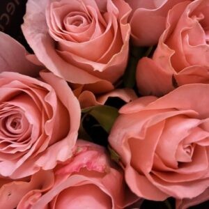 ROS 10-P BE SWEET ROSA 40CM