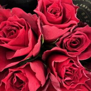 ROS ETERNITY RÖD 60CM