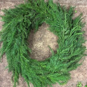 DÖRRKRANS KRYPTOMERIA 35CM