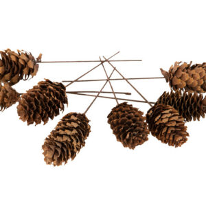 AL 14630 KOTTE TRÅDAD x200