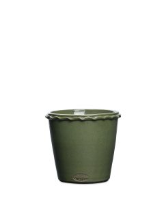 EN 27619-141 TERRA NOVA OLIV K:15CM