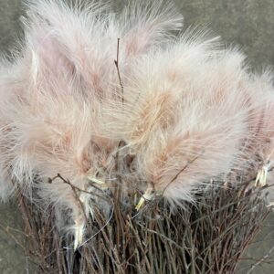 BJÖRKRIS BUNT FJÄDER DUN SMUTSROSA x5