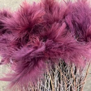 BJÖRKRIS BUNT FJÄDER DUN BIGARRÅ  X5