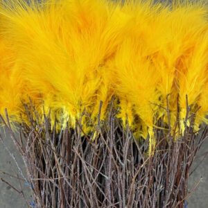 BJÖRKRIS BUNT FJÄDER DUN SOLGUL X5