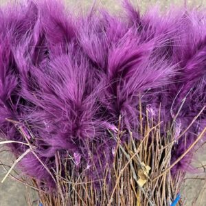 BJÖRKRIS BUNT FJÄDER DUN PLOMMON X5