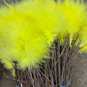 BJÖRKRIS BUNT FJÄDER DUN CITRON X5