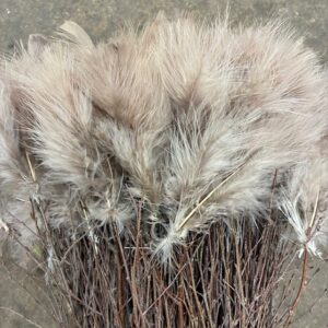 BJÖRKRIS BUNT FJÄDER DUN NOUGAT x5