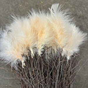 BJÖRKRIS BUNT FJÄDER DUN APRIKOS x5