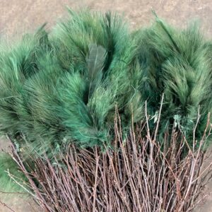 BJÖRKRIS BUNT FJÄDER DUN SKOGSGRÖN X5