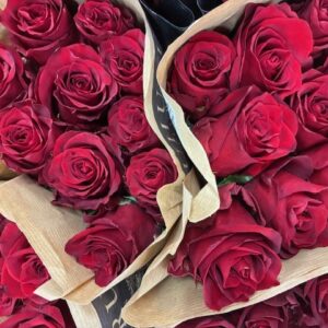 ROS EXPLORER UHURU RÖD 60CM KE