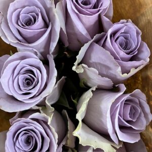 ROS SHOCKING BLUE UHURU 50CM