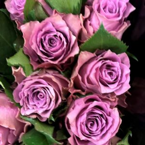 ROS PURPLE HEATHER KE 50CM